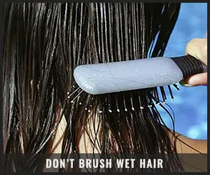 Do Not Brush Wet Hair