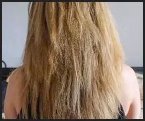 Damaged Hair - V2 Sep