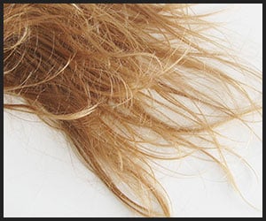 Damaged Hair - V1 Sep
