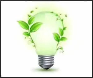 Energy Saving Bulb - INS100808