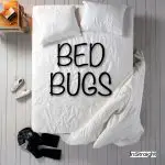 bed bugs written on the bed